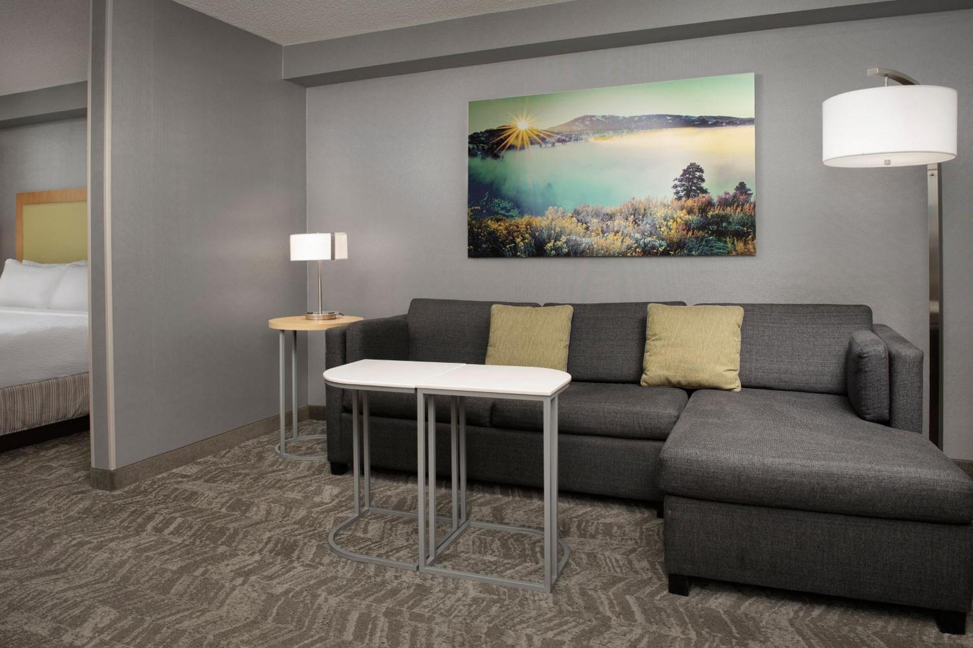 Springhill Suites By Marriott Boise Parkcenter Exteriér fotografie